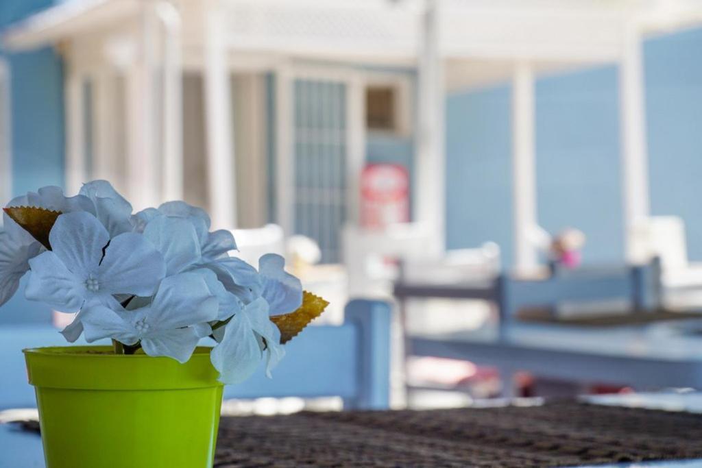 Cesme Minerva Port Hotel Εξωτερικό φωτογραφία